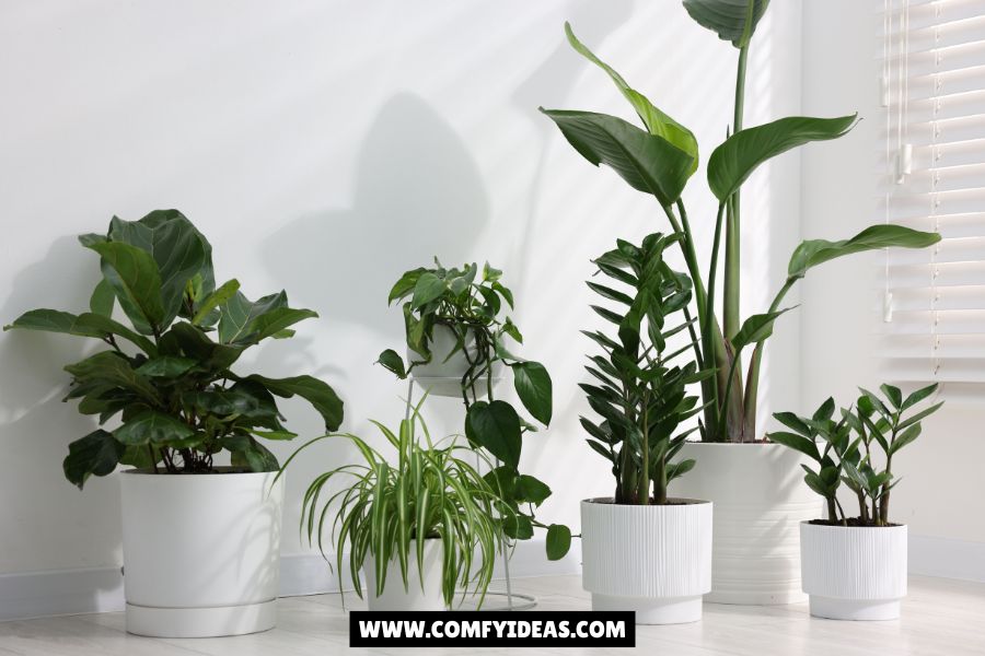 38 Low-Maintenance Indoor Plants That Are Perfect for Beginners