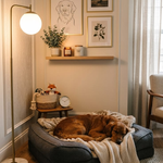 21 Dog Space Ideas That Actually Fit Into a Real Home (Not Just a Pinterest Board)