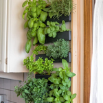 25 Herb Garden Ideas (For Every Space, Budget, and Level of Plant Commitment)
