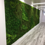 21 Moss Wall Ideas That Actually Hold Up (Not Just Pinterest Photos)